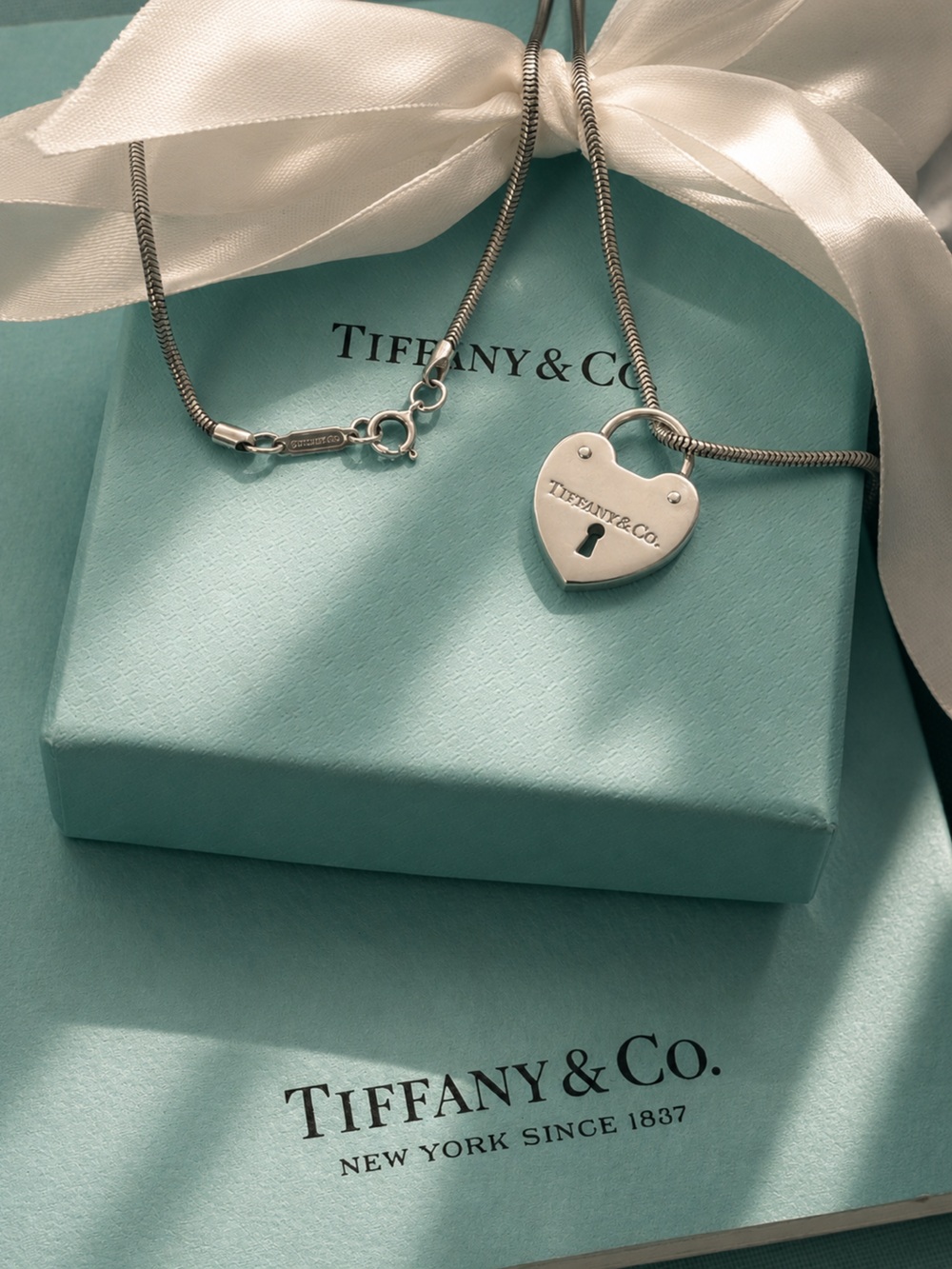 Authentic Tiffany & Co Heart Padlock on Vintage Tiffany Snake Chain + COA